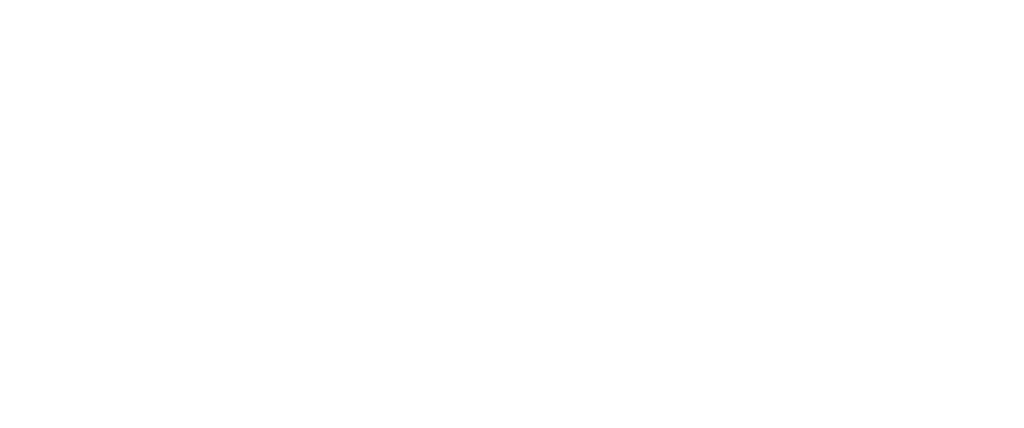 Casa Mr. Lion